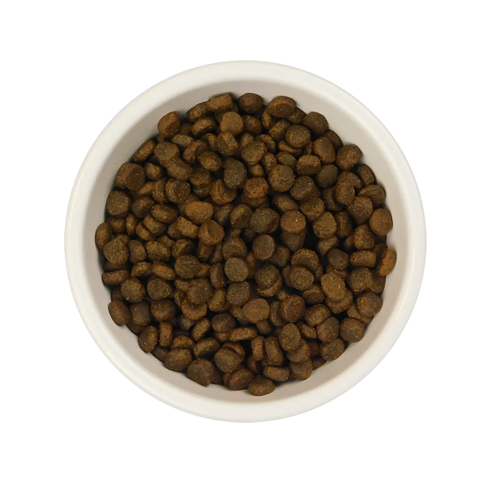 Chicken & Duck Dry Cat Food Bundle